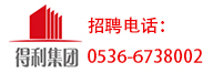濰坊得利集團(tuán)